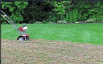 Expert lawn care service in Medford, OR - Villa's Landscape Maintenance