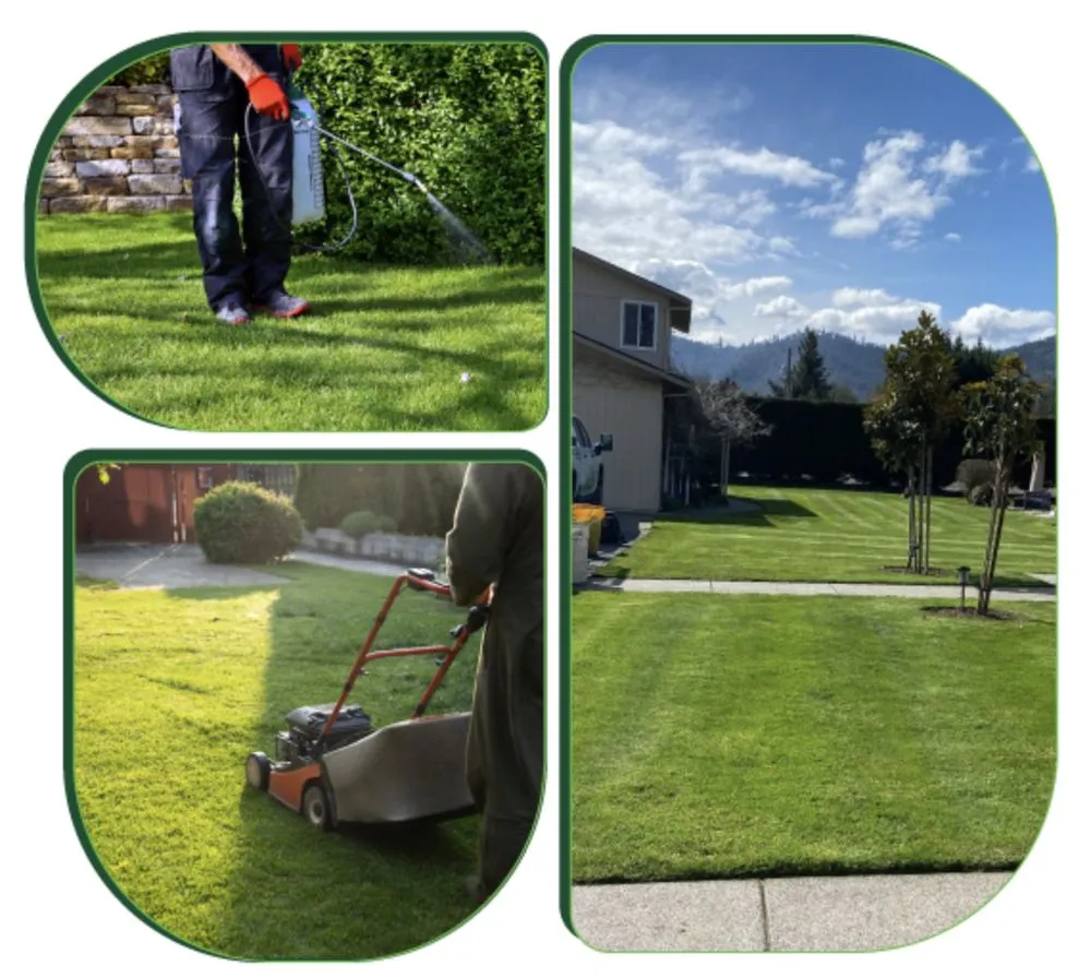 Top-rated landscape installation experts serving Medford, OR - Villa's Landscape Maintenance