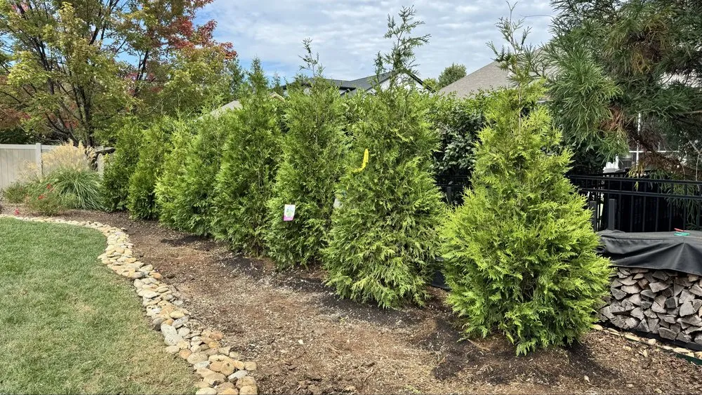 Local garden landscaping in Mount Holly, NC - Villa's Premier Landscaping