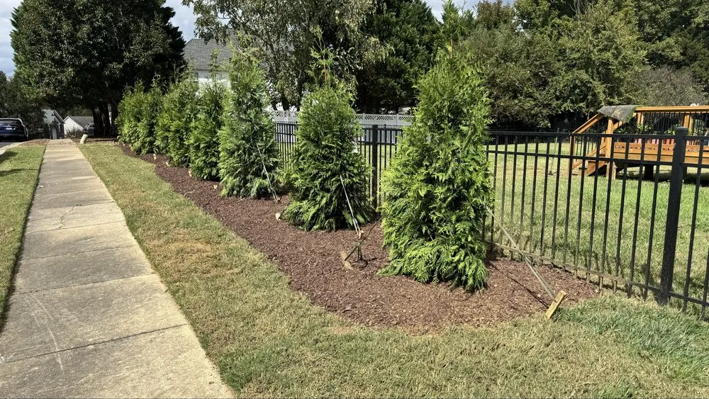 Local lawn care service for residential properties in Mount Holly, NC by Villa's Premier Landscaping