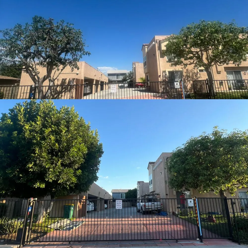 Local garden landscaping in Simi Valley, CA by Villasenor Landscaping / Gardening