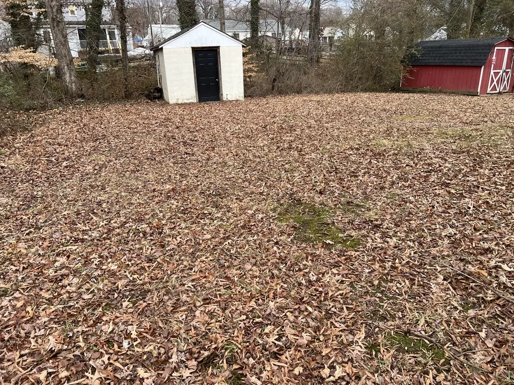 Professional landscaping services in Richmond, VA by Villatoro Full Service landscaping