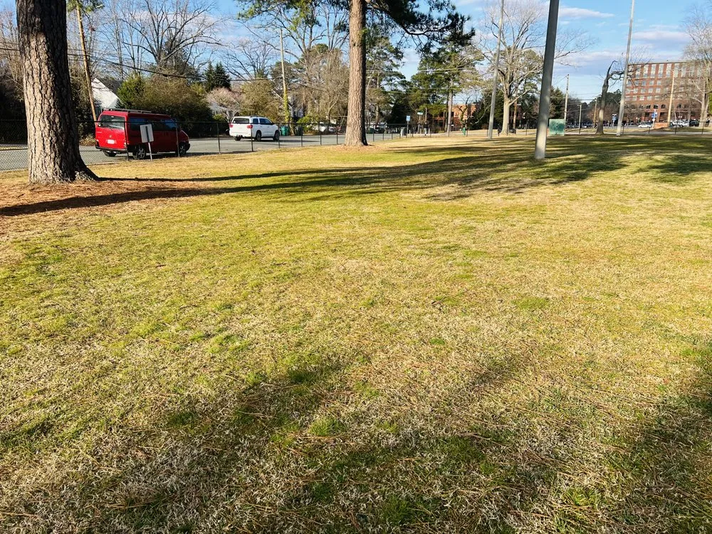 Professional lawn mowing service for year-round maintenance in Richmond, VA by Villatoro Full Service landscaping