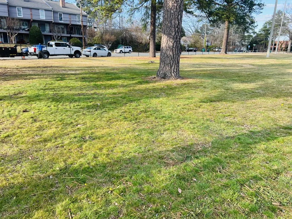 Professional landscape design experts serving Richmond, VA - Villatoro Full Service landscaping