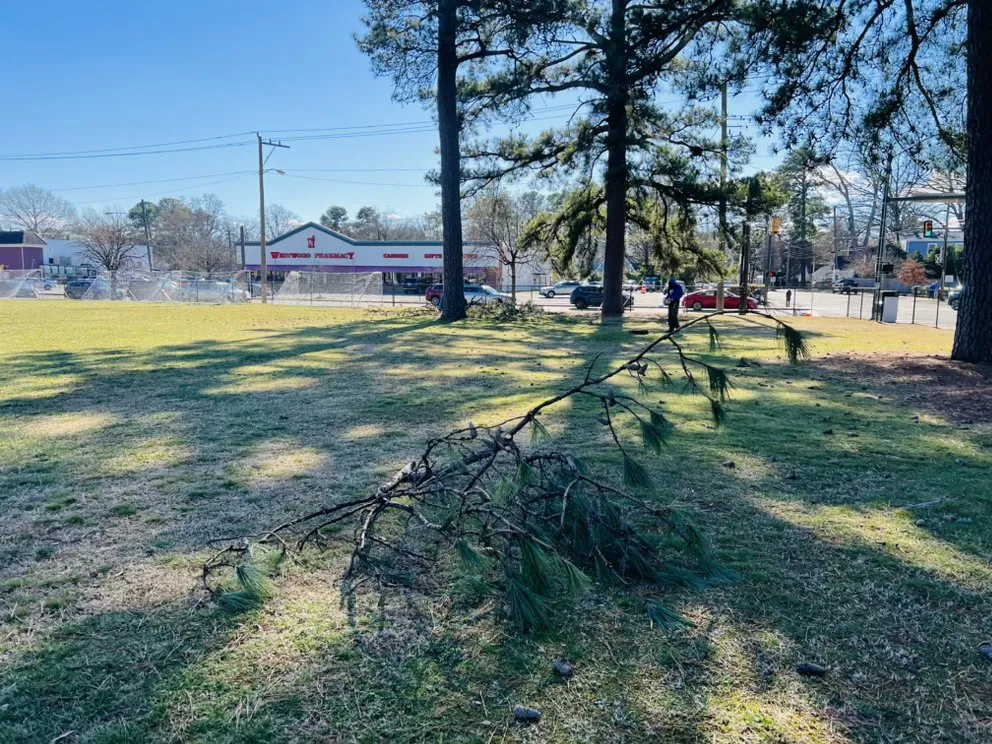 Affordable yard cleanup service in Richmond, VA - Villatoro Full Service landscaping