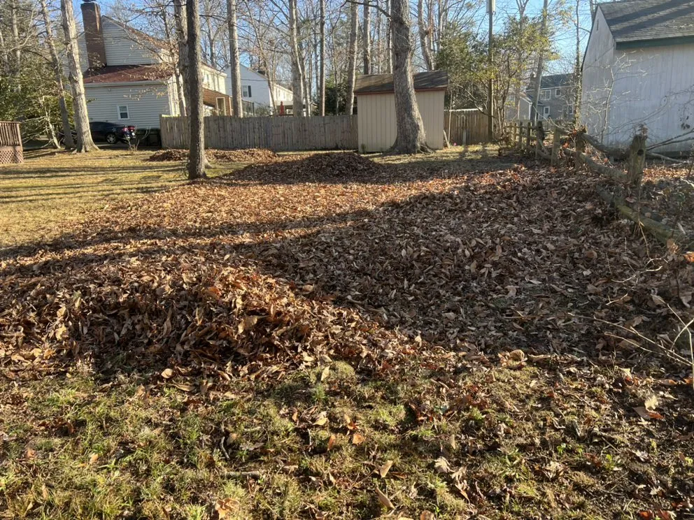 Professional lawn care service in Richmond, VA by Villatoro Full Service landscaping