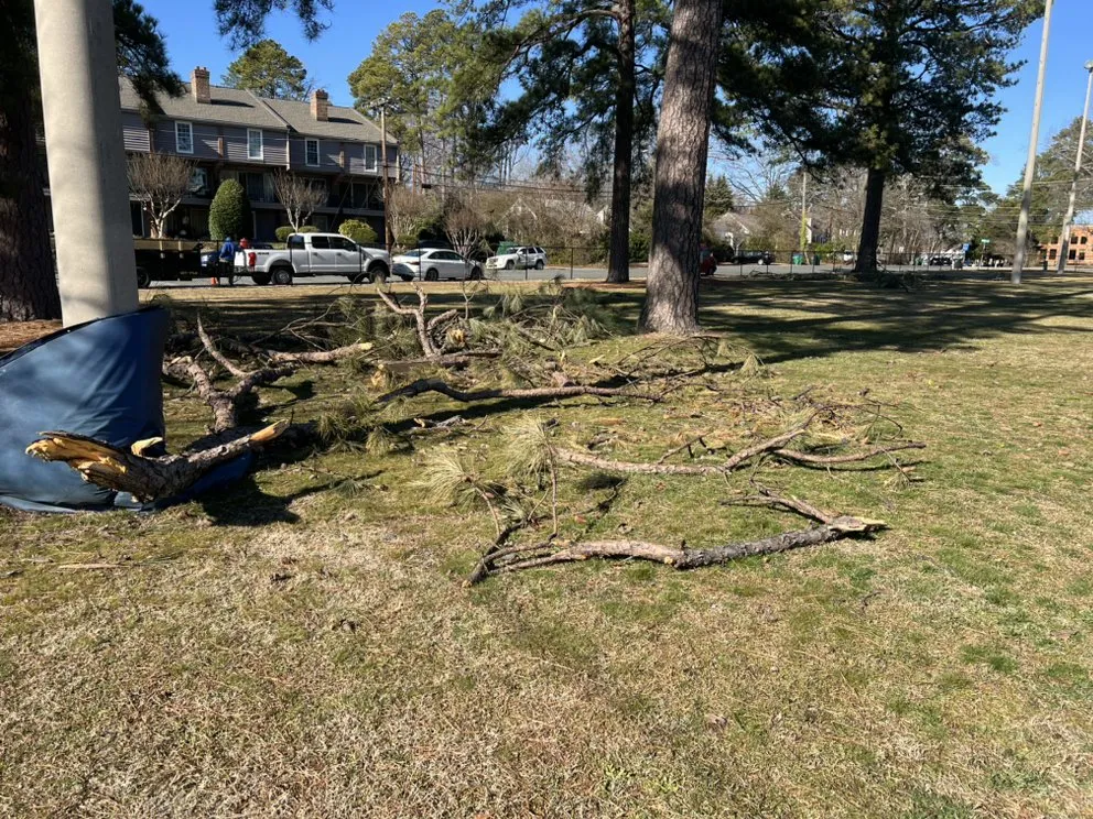 Local residential landscaping in Richmond, VA by Villatoro Full Service landscaping