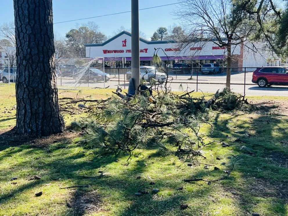 Affordable yard maintenance in Richmond, VA by Villatoro Full Service landscaping