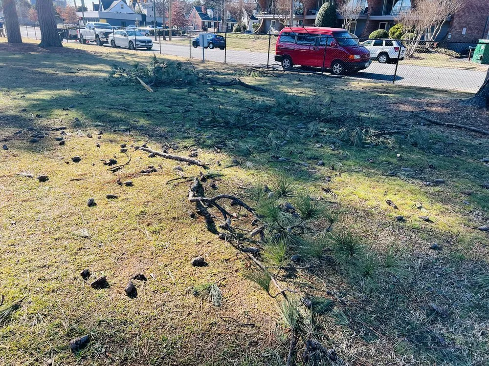 Reliable garden landscaping for year-round maintenance across Richmond, VA - Villatoro Full Service landscaping