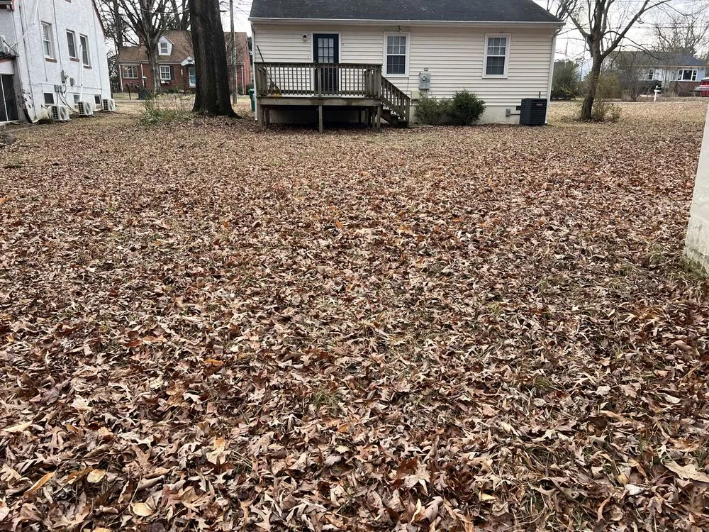 Expert residential landscaping for outdoor upgrades across Richmond, VA - Villatoro Full Service landscaping