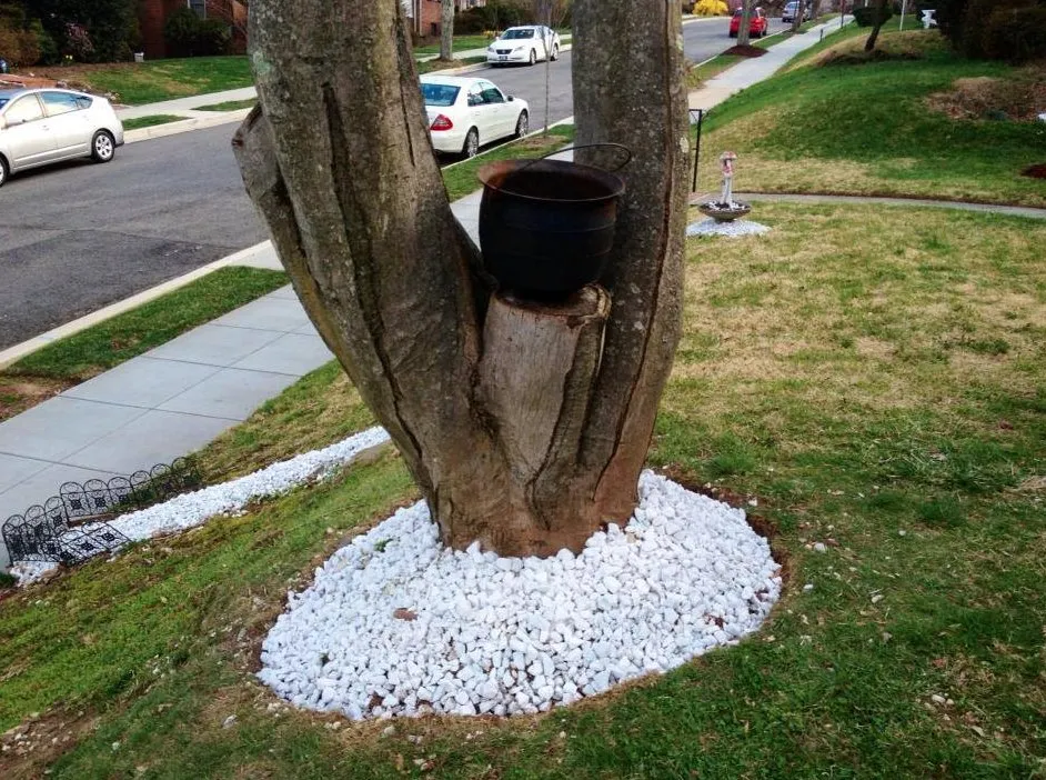 Top-rated yard maintenance for outdoor upgrades across Hyattsville, MD - Villatoro Lawns and Gardens