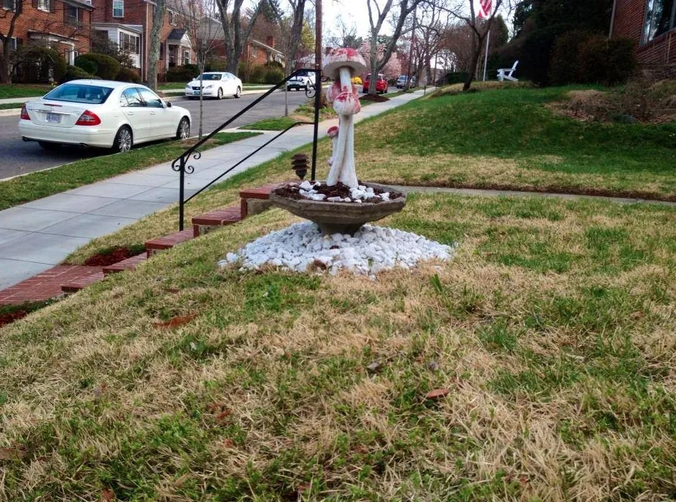 Top-rated yard cleanup service experts serving Hyattsville, MD - Villatoro Lawns and Gardens