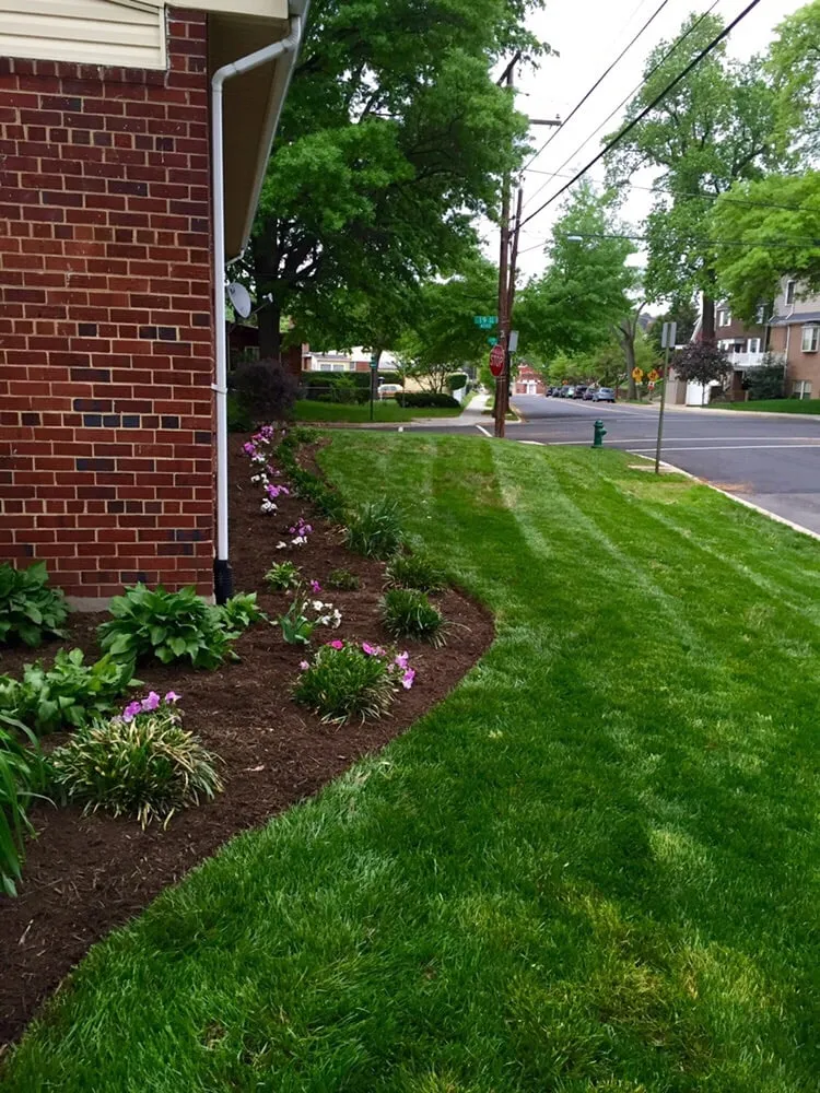 Affordable lawn mowing service in Hyattsville, MD - Villatoro Lawns and Gardens