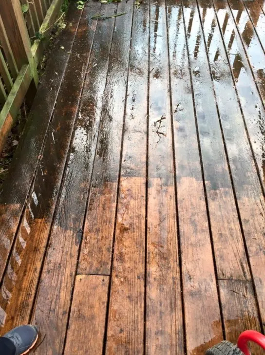 Custom lawn care service for year-round maintenance across Hyattsville, MD - Villatoro Lawns and Gardens