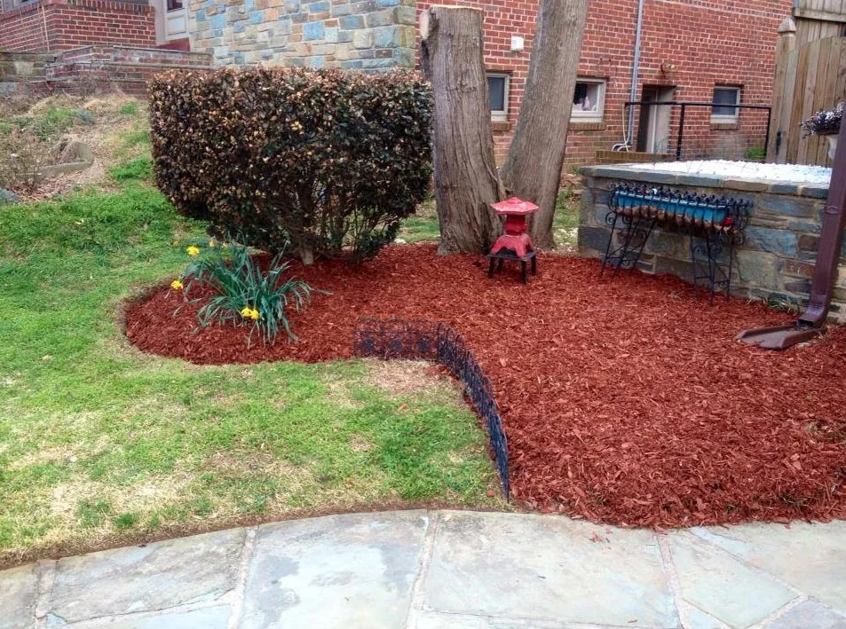 Local lawn care service for year-round maintenance in Hyattsville, MD by Villatoro Lawns and Gardens