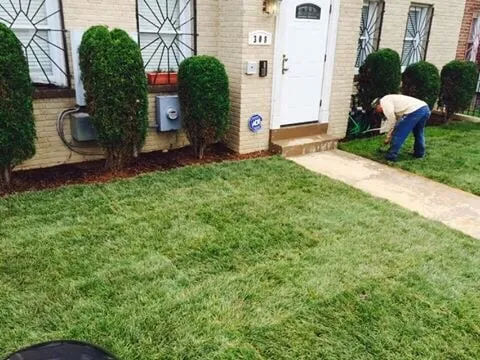 Professional lawn mowing service for outdoor upgrades across Hyattsville, MD - Villatoro Lawns and Gardens
