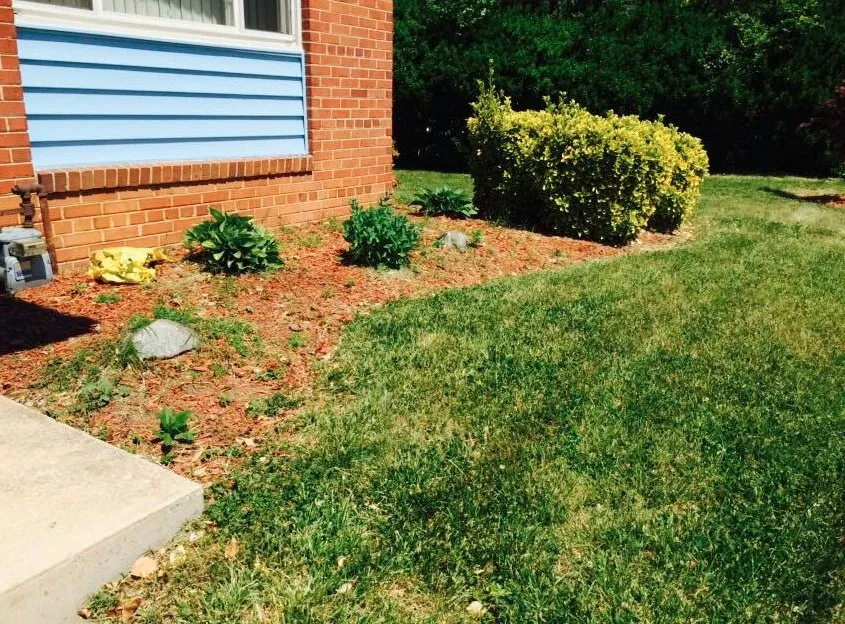 Reliable yard maintenance experts serving Hyattsville, MD - Villatoro Lawns and Gardens