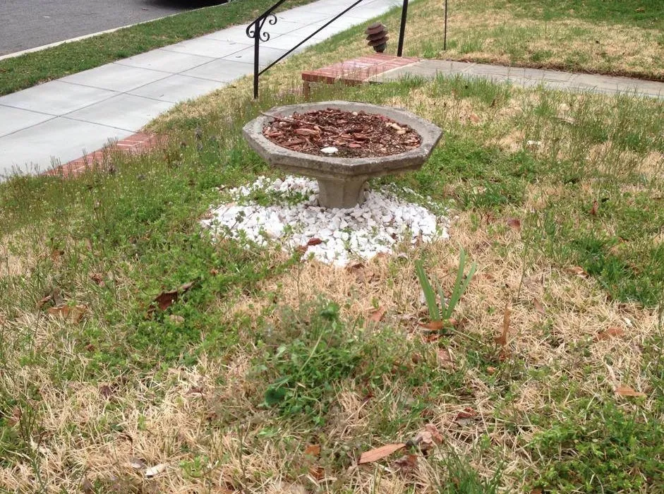 Professional lawn mowing service in Hyattsville, MD - Villatoro Lawns and Gardens