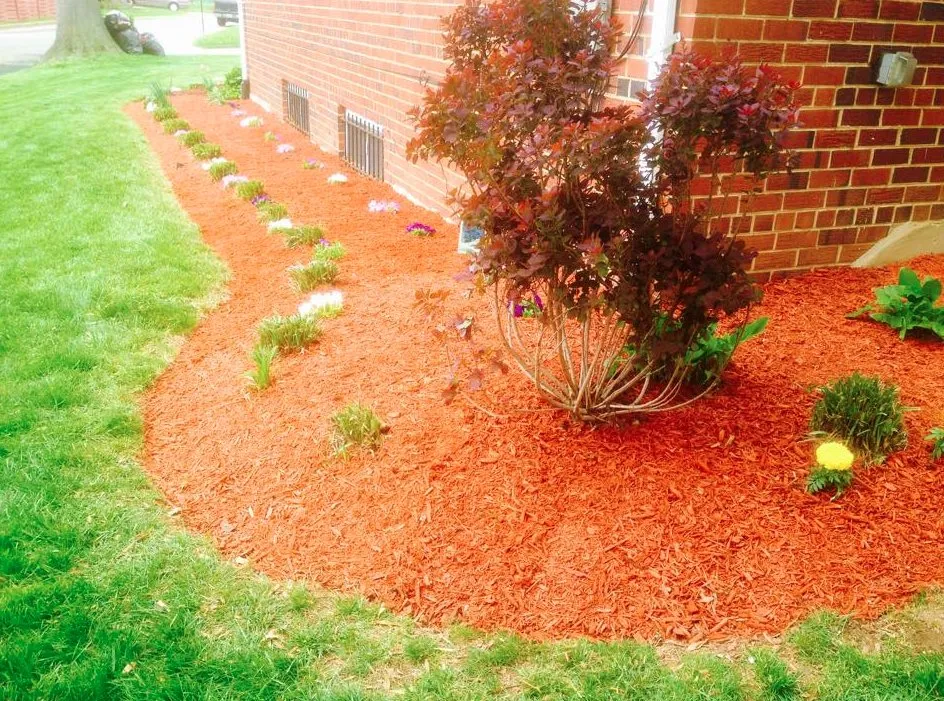 Custom outdoor landscaping for homes across Hyattsville, MD - Villatoro Lawns and Gardens
