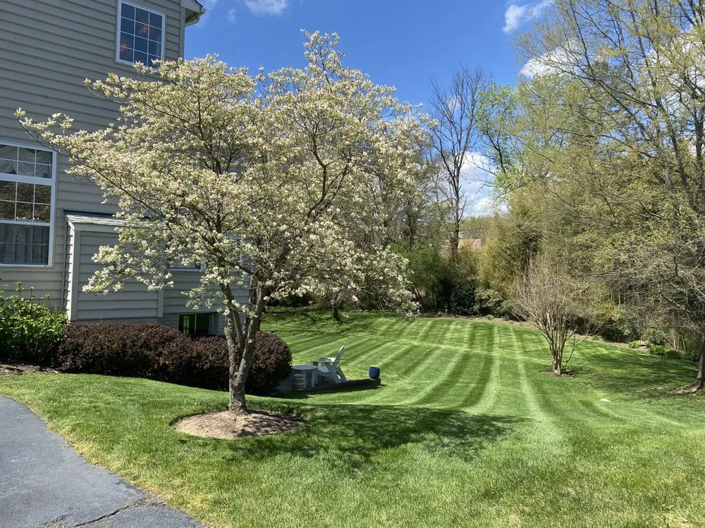 Professional lawn mowing service in Springfield, VA by Villatoros Lawn and Landscape