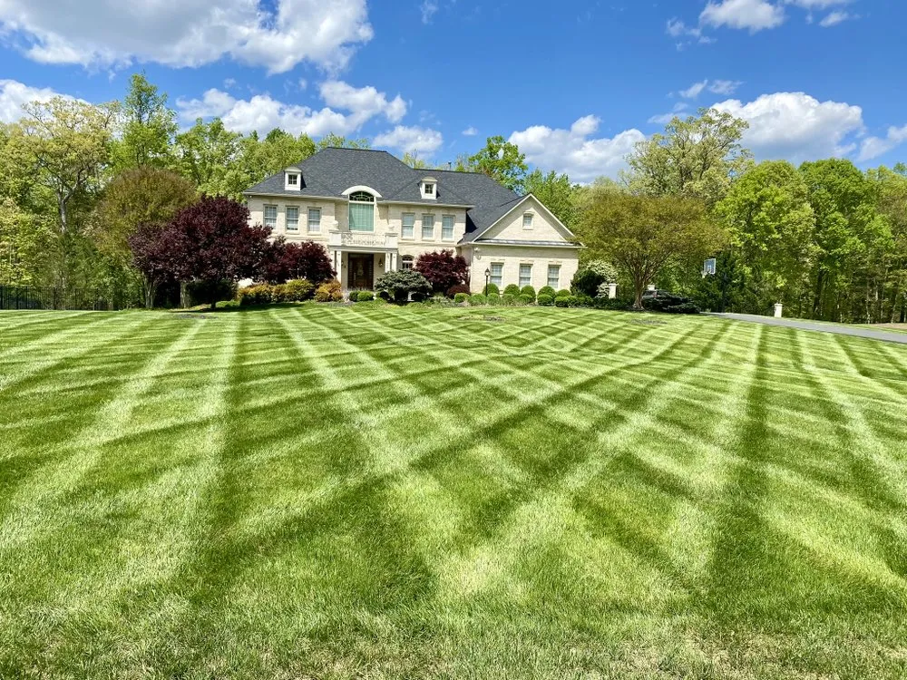 Affordable residential landscaping in Springfield, VA by Villatoros Lawn and Landscape