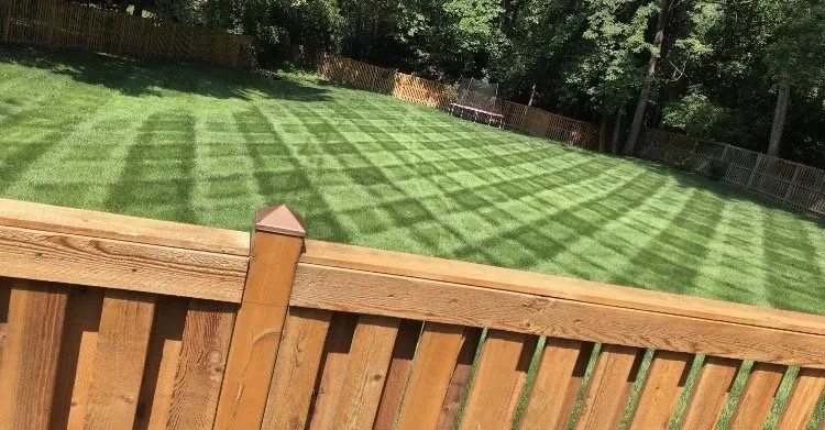 Local landscape design in Springfield, VA by Villatoros Lawn and Landscape