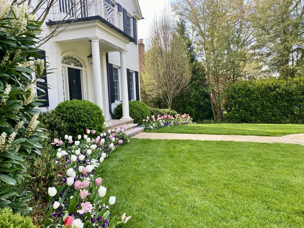 Professional landscape design in Springfield, VA - Villatoros Lawn and Landscape