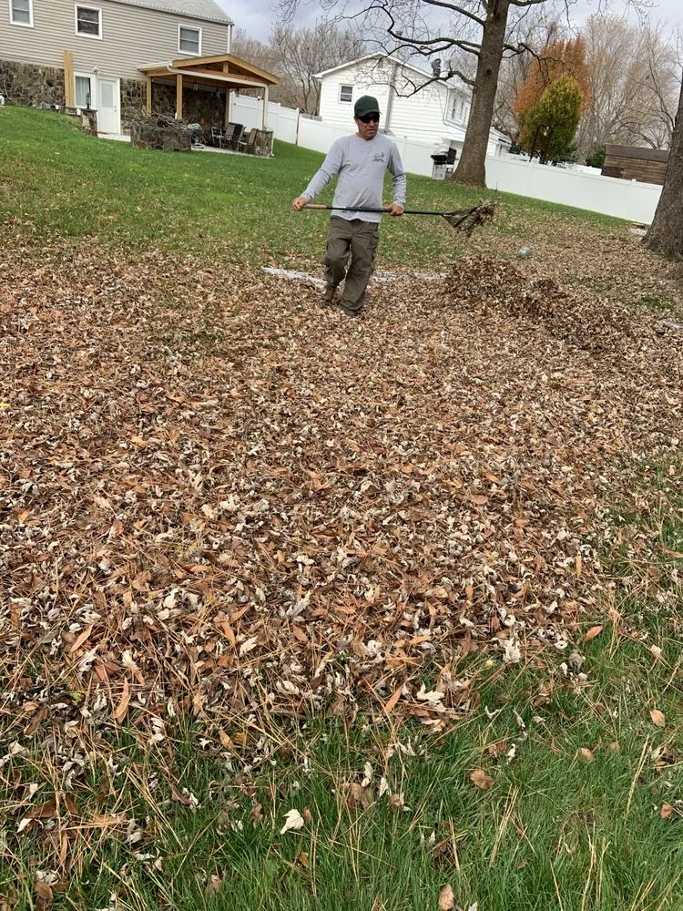 Local yard cleanup service in Springfield, VA by Villatoros Lawn and Landscape