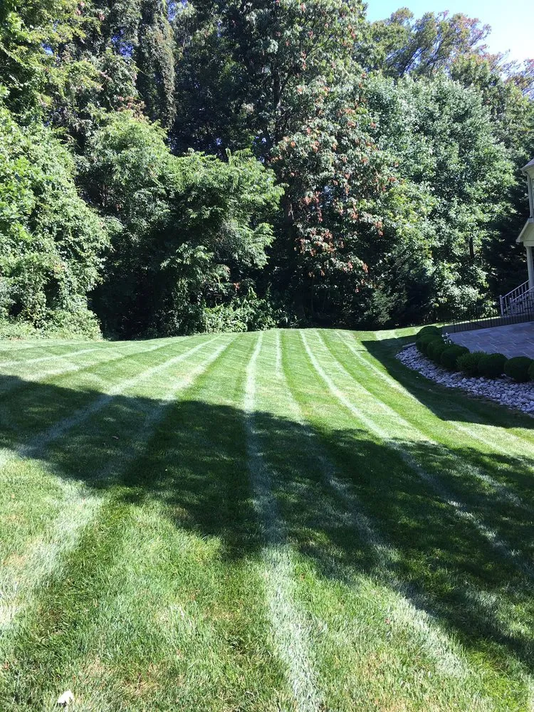 Trusted lawn care service experts serving Springfield, VA - Villatoros Lawn and Landscape