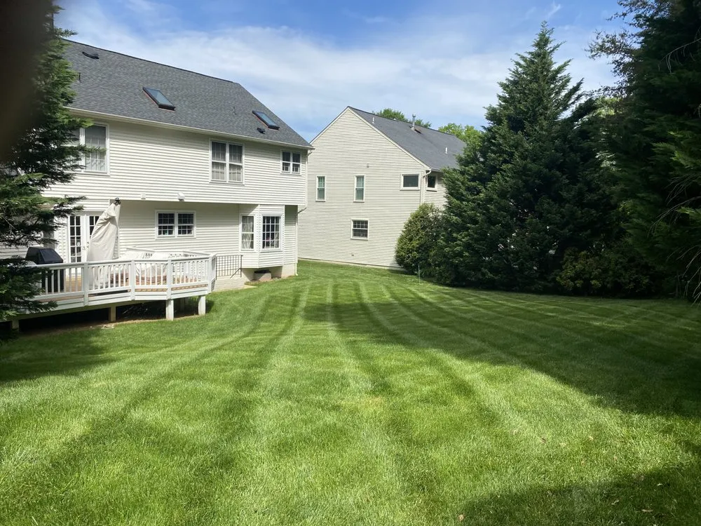 Affordable yard maintenance experts serving Springfield, VA - Villatoros Lawn and Landscape