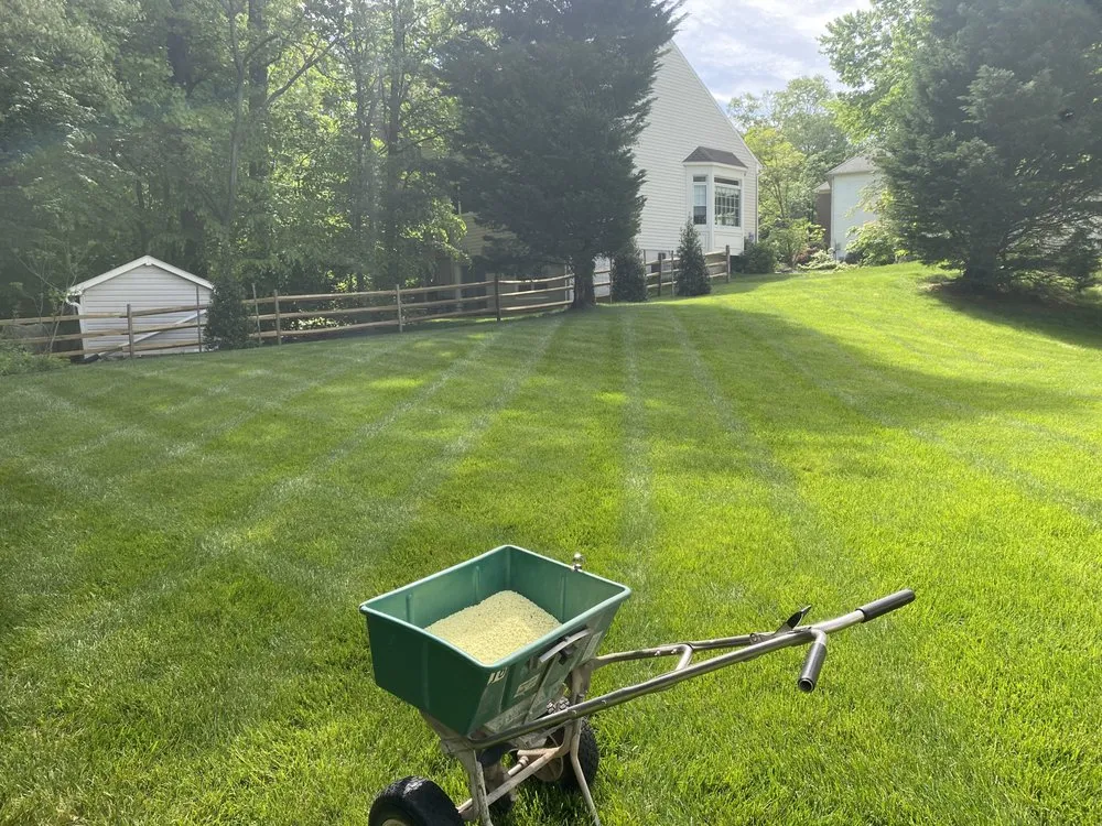 Affordable landscaping services in Springfield, VA - Villatoros Lawn and Landscape