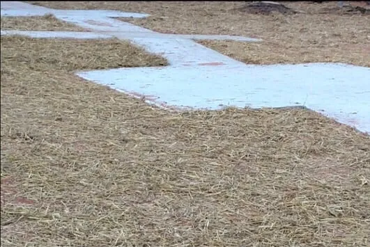 Local yard maintenance in Concord, NC - Villatoros Lawn Care and Landscape