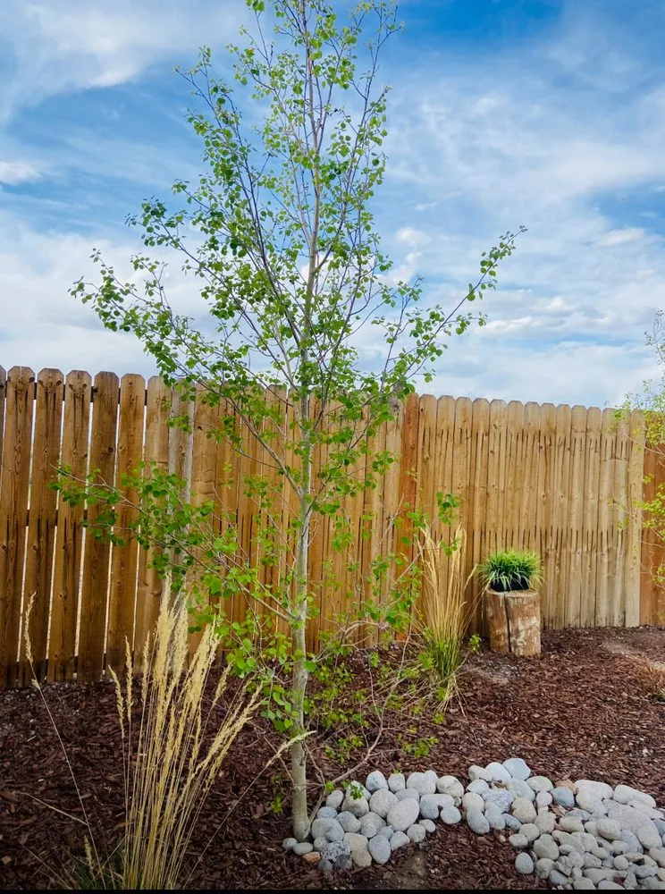 Top-rated outdoor landscaping in Georgetown, CO by Villaworks Property Services