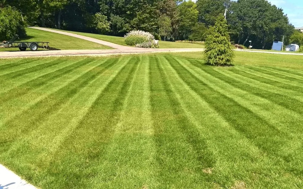 Trusted outdoor landscaping in Summerville, SC by Ville Landscape