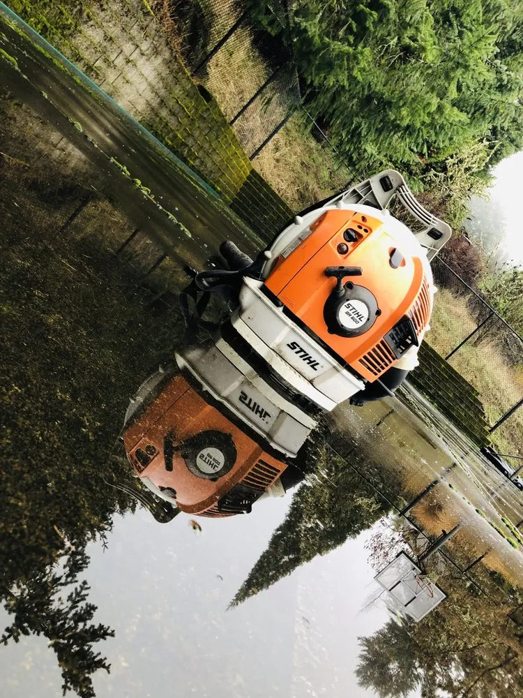 Expert yard cleanup service for residential properties across Eugene, OR - Villeda Landscaping & Maintenance