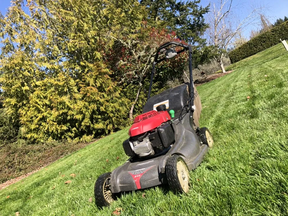 Professional residential landscaping for beautiful yards in Eugene, OR by Villeda Landscaping & Maintenance