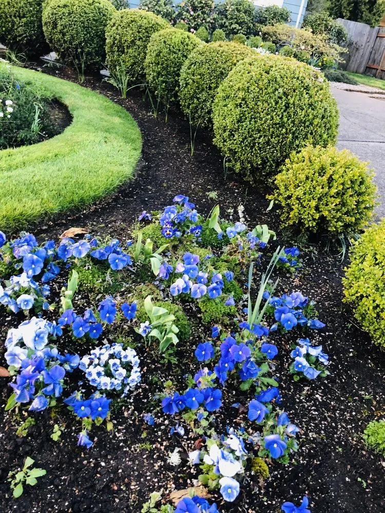 Affordable landscape design experts serving Eugene, OR - Villeda Landscaping & Maintenance