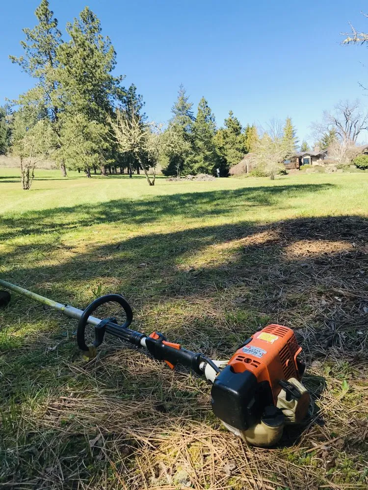 Expert residential landscaping for beautiful yards across Eugene, OR - Villeda Landscaping & Maintenance