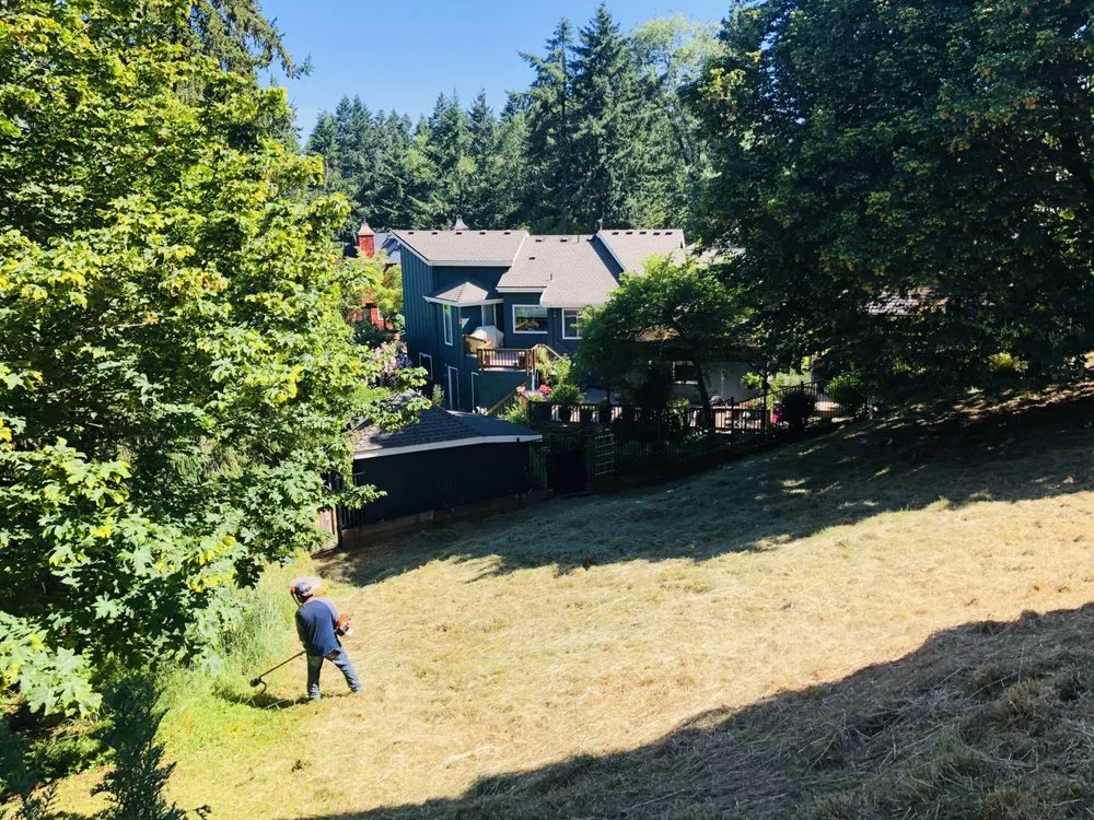 Expert lawn mowing service in Eugene, OR by Villeda Landscaping & Maintenance