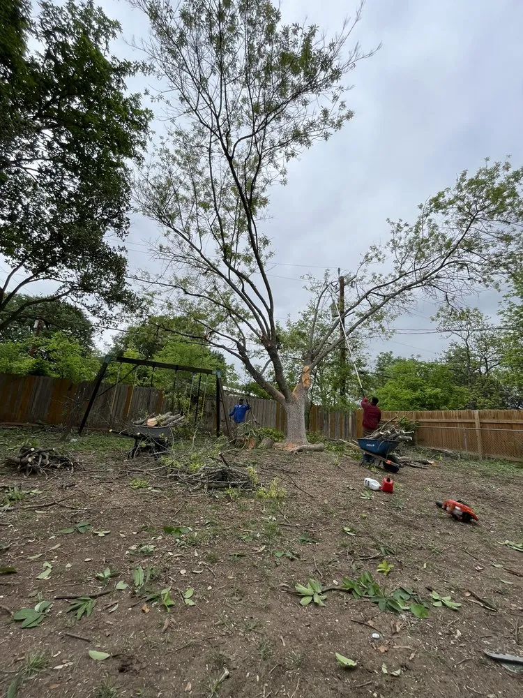 Top-rated lawn care service with custom design in San Antonio, TX by Villeda tree and landscaping