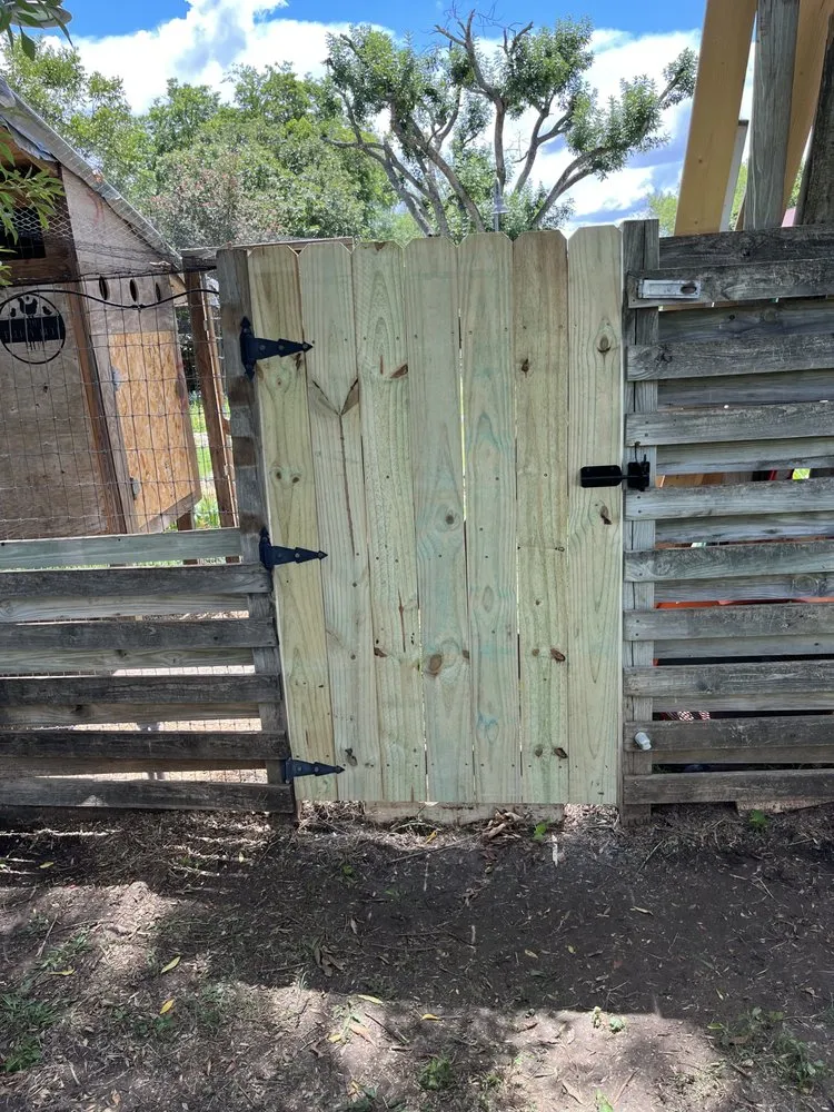 Expert yard cleanup service in San Antonio, TX - Villeda tree and landscaping