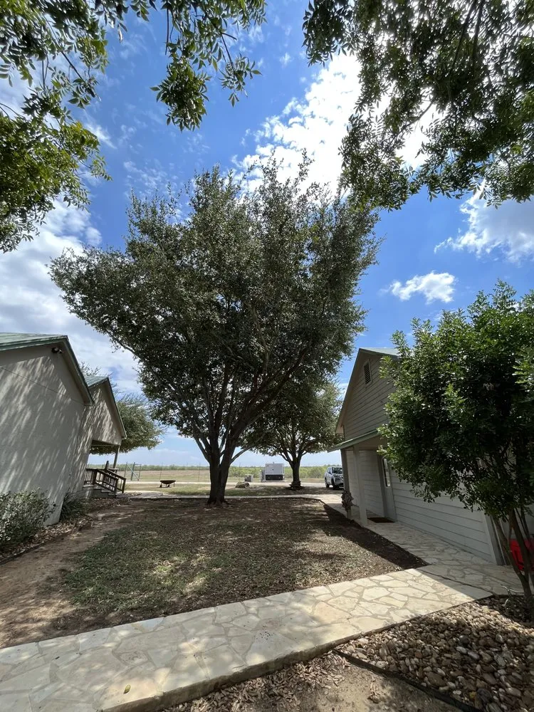 Affordable landscape design for year-round maintenance in San Antonio, TX by Villeda tree and landscaping