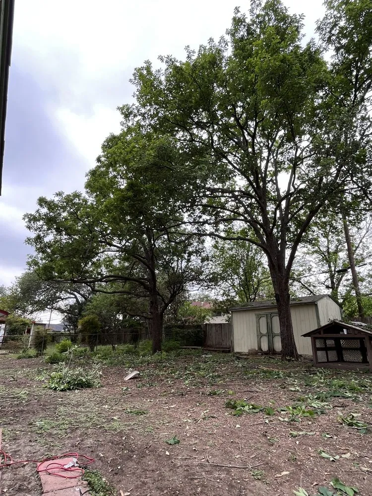 Professional lawn care service for homes across San Antonio, TX - Villeda tree and landscaping