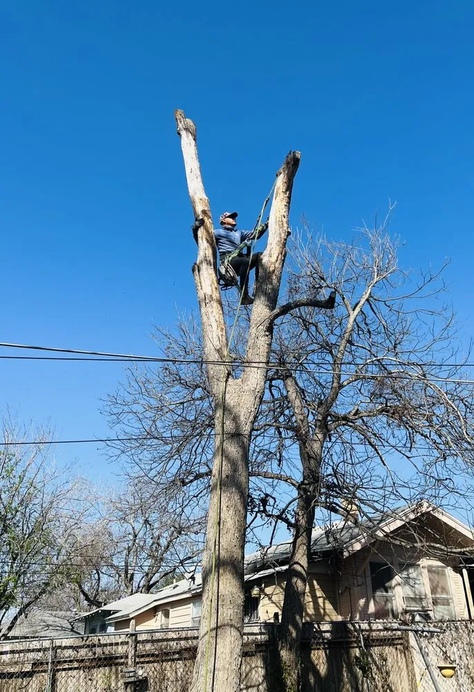 Trusted lawn mowing service for year-round maintenance across San Antonio, TX - Villeda tree and landscaping