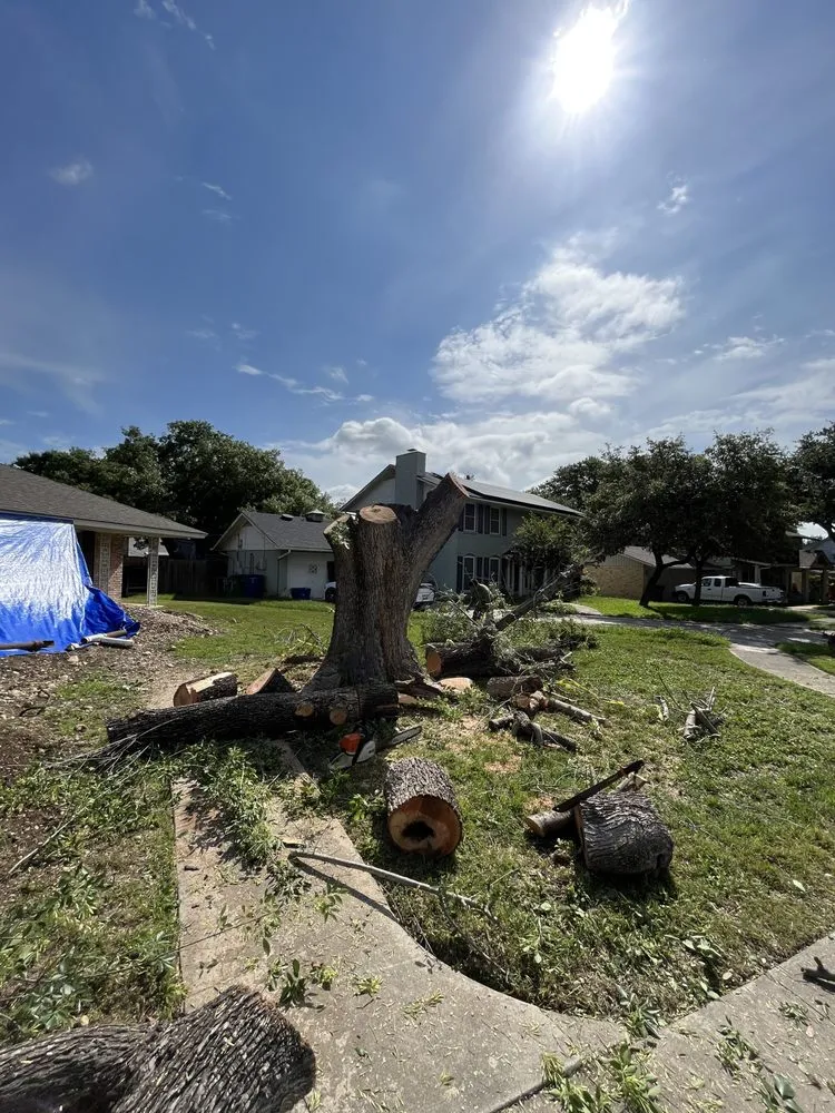 Trusted landscape design for beautiful yards in San Antonio, TX by Villeda tree and landscaping