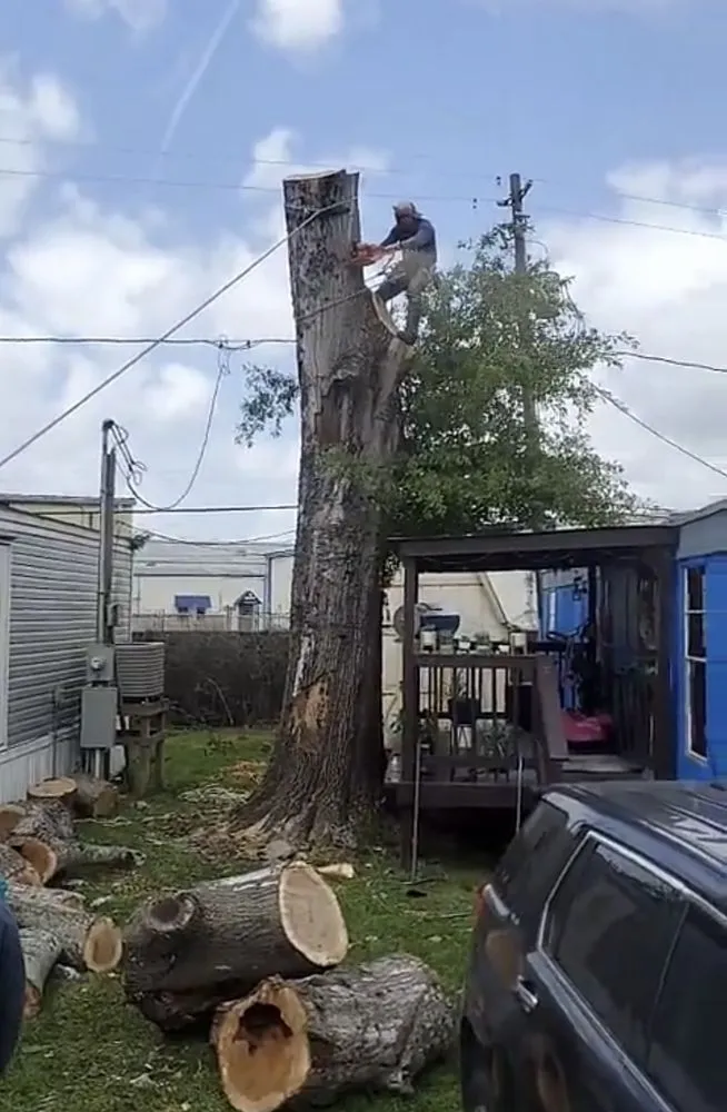 Professional residential landscaping experts serving Pasadena, TX - Villegas Barrera Landscaping