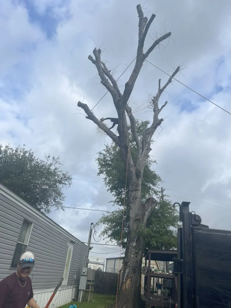 Custom lawn mowing service for outdoor upgrades in Pasadena, TX by Villegas Barrera Landscaping