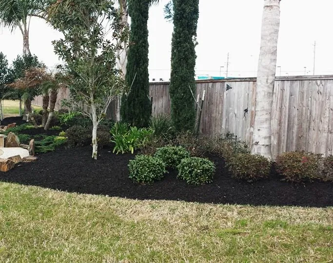 Expert yard maintenance experts serving Pasadena, TX - Villegas Barrera Landscaping