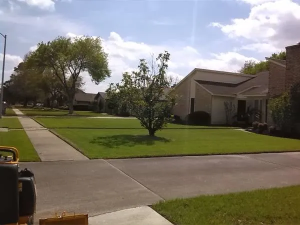 Top-rated landscape design with custom design across Pasadena, TX - Villegas Barrera Landscaping