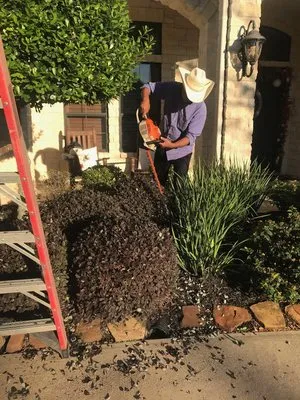 Villegas Barrera Landscaping Logo